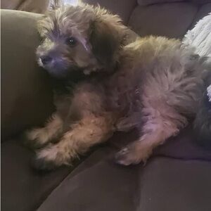 Meet your Posher, Alexia